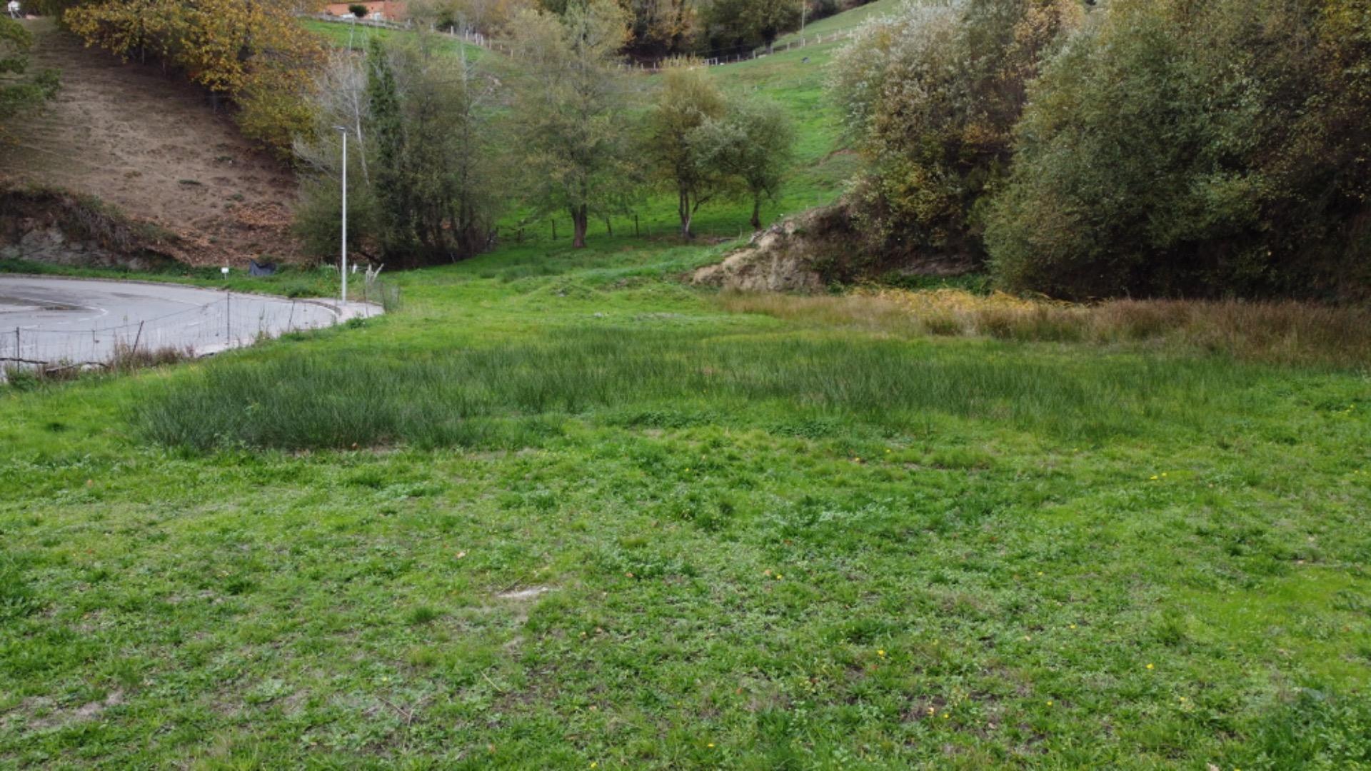 Fincas y solares-Venta-Tineo-2032107-Foto-5