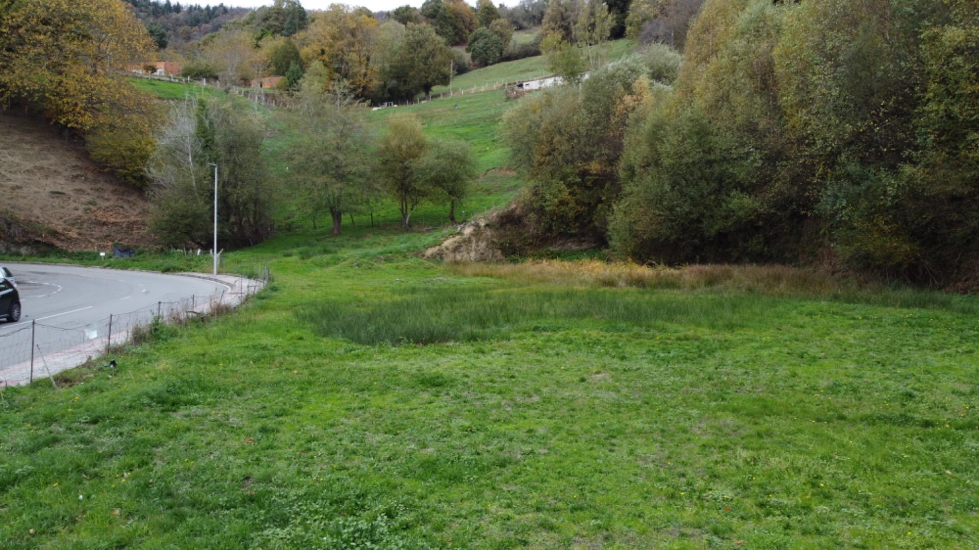 Fincas y solares-Venta-Tineo-2032107-Foto-3