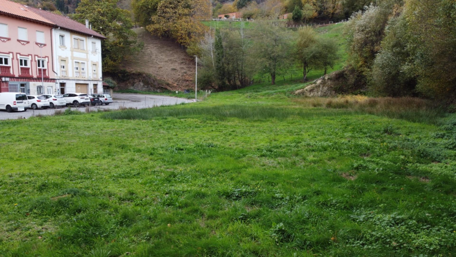 Fincas y solares-Venta-Tineo-2032107-Foto-6