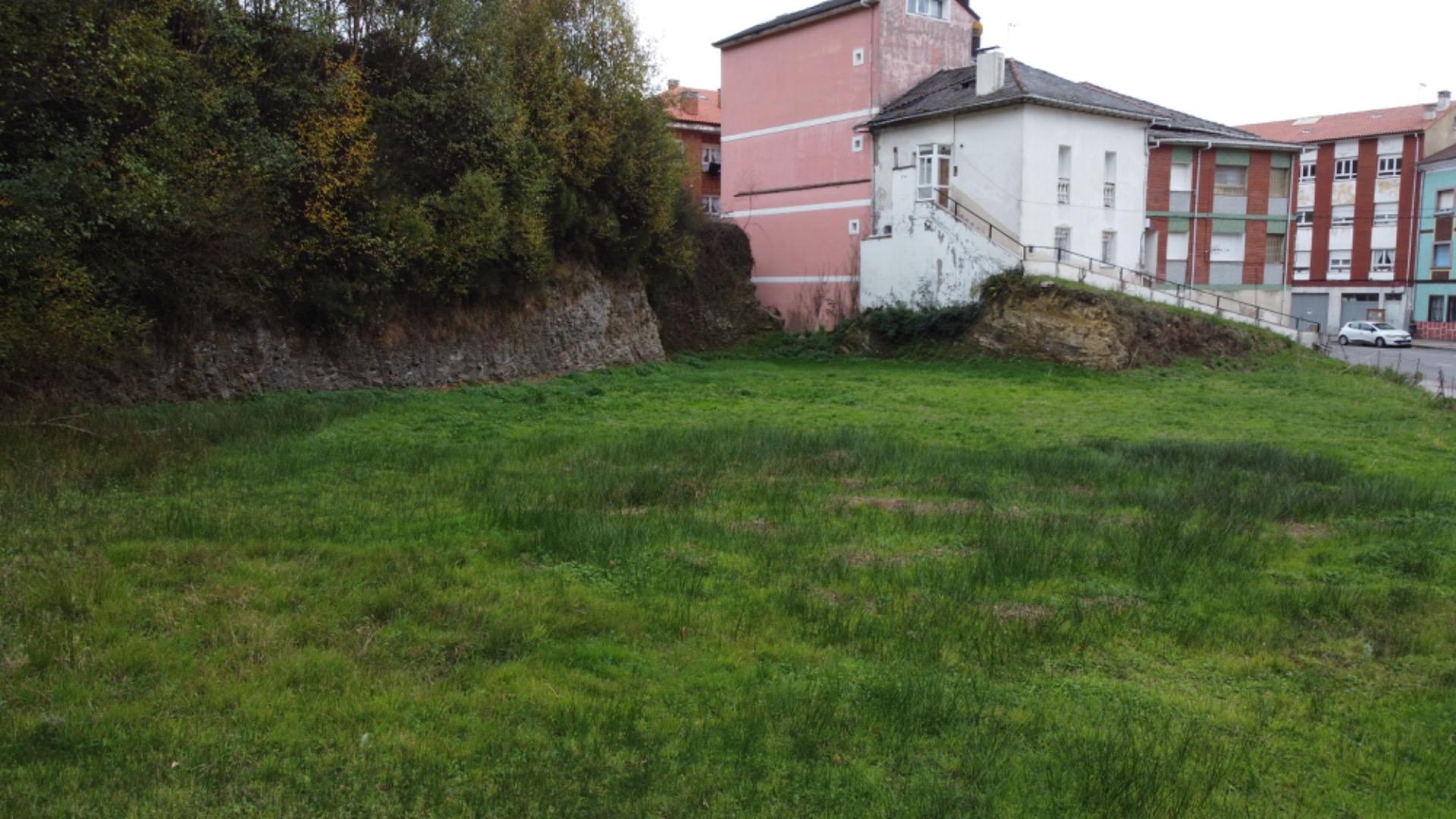 Fincas y solares-Venta-Tineo-2032107-Foto-9