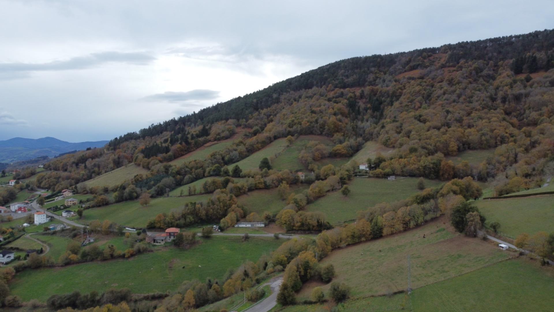 Fincas y solares-Venta-Tineo-2032107-Foto-14