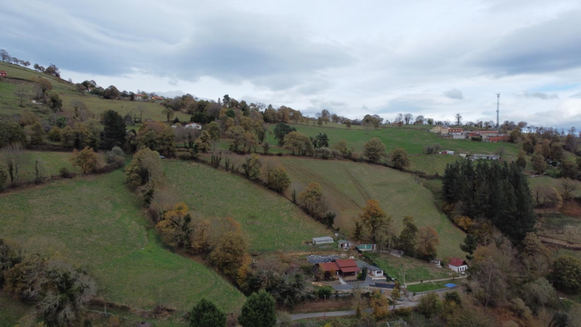 Fincas y solares-Venta-Tineo-2032107-Foto-13