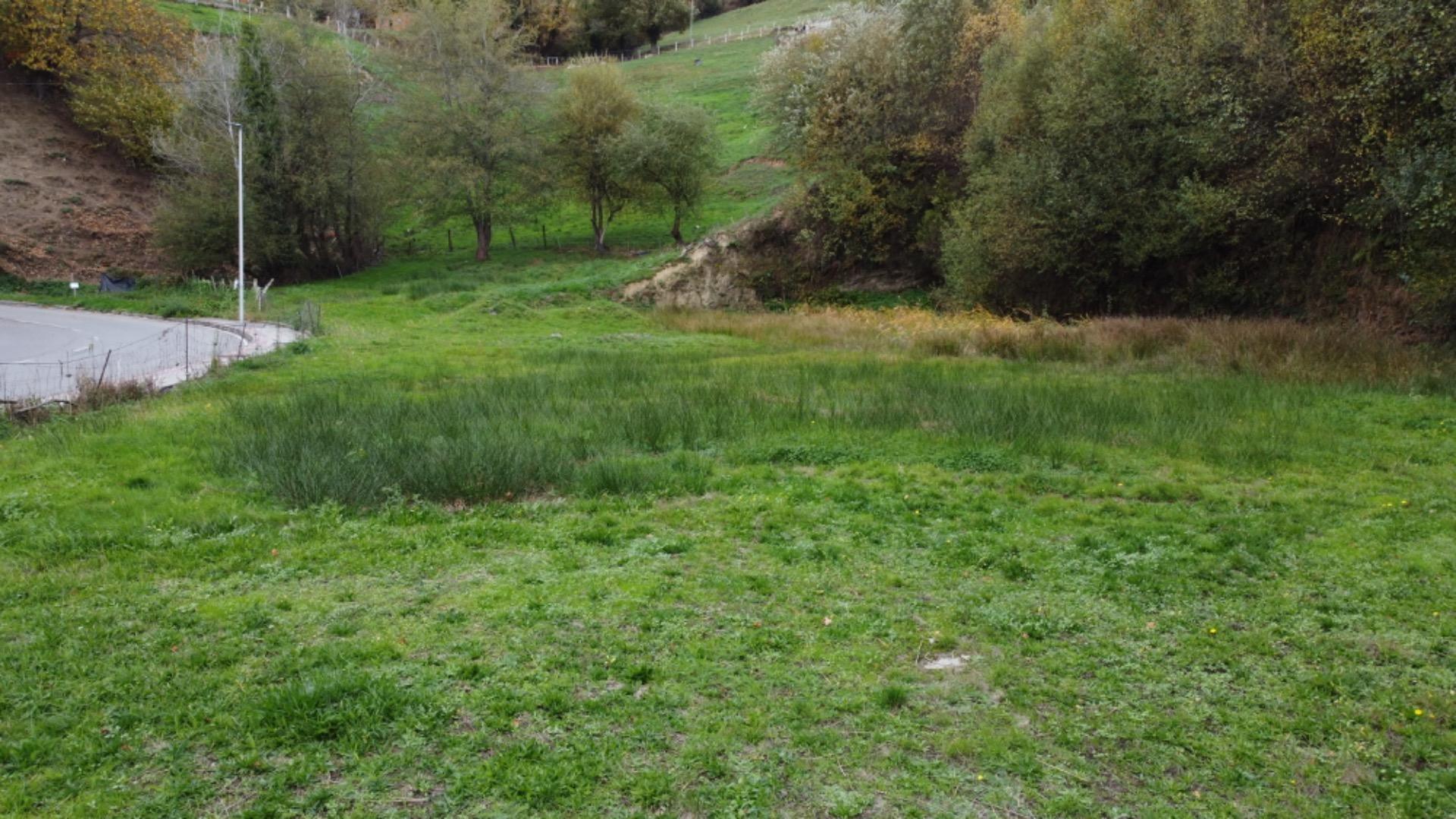 Fincas y solares-Venta-Tineo-2032107-Foto-18