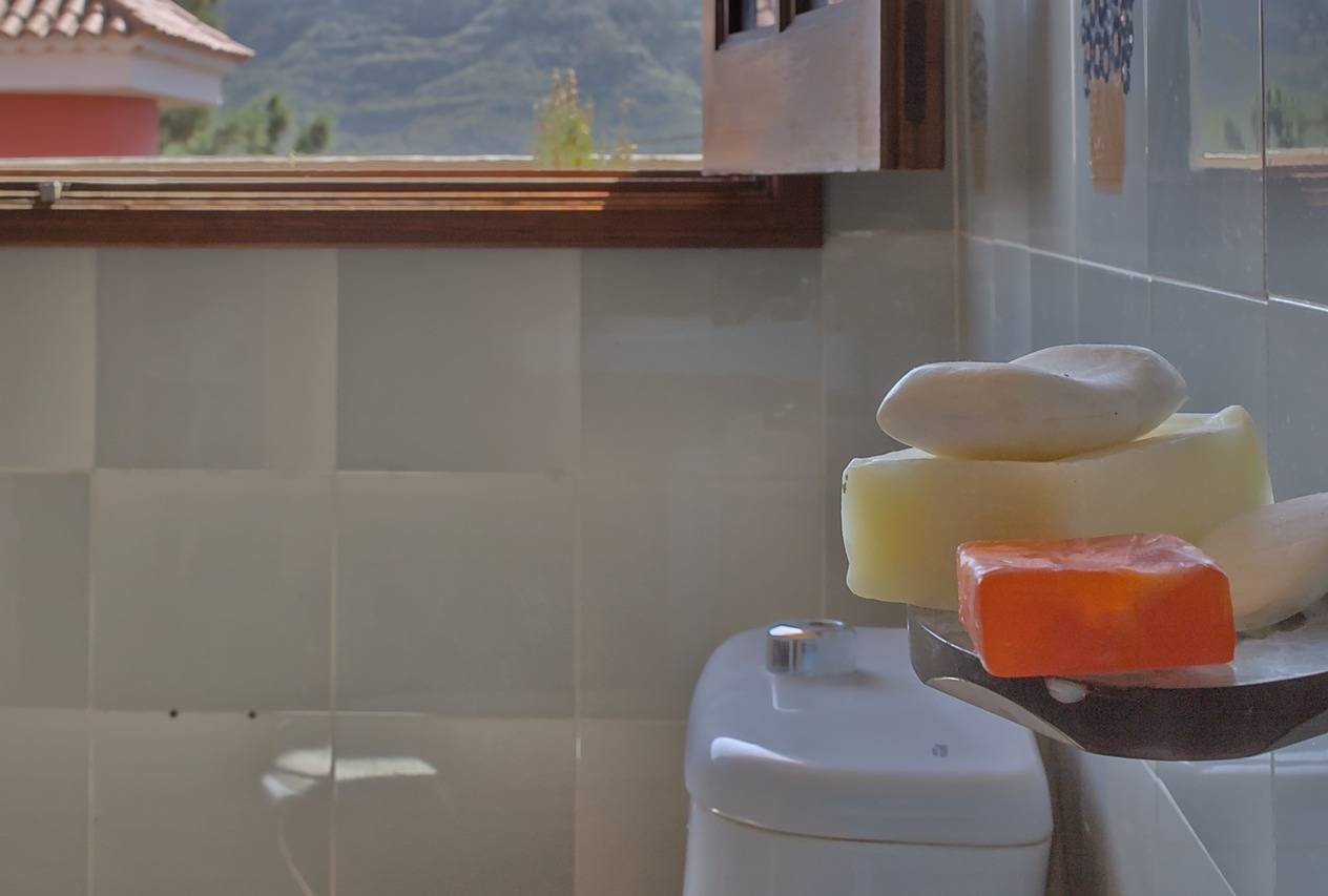 Casas o chalets-Venta-Teror-1993993-Foto-51