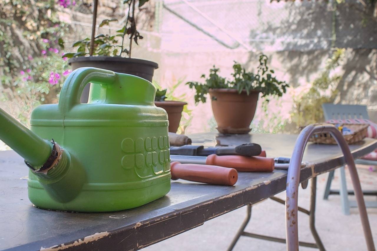 Casas o chalets-Venta-Teror-1993993-Foto-90