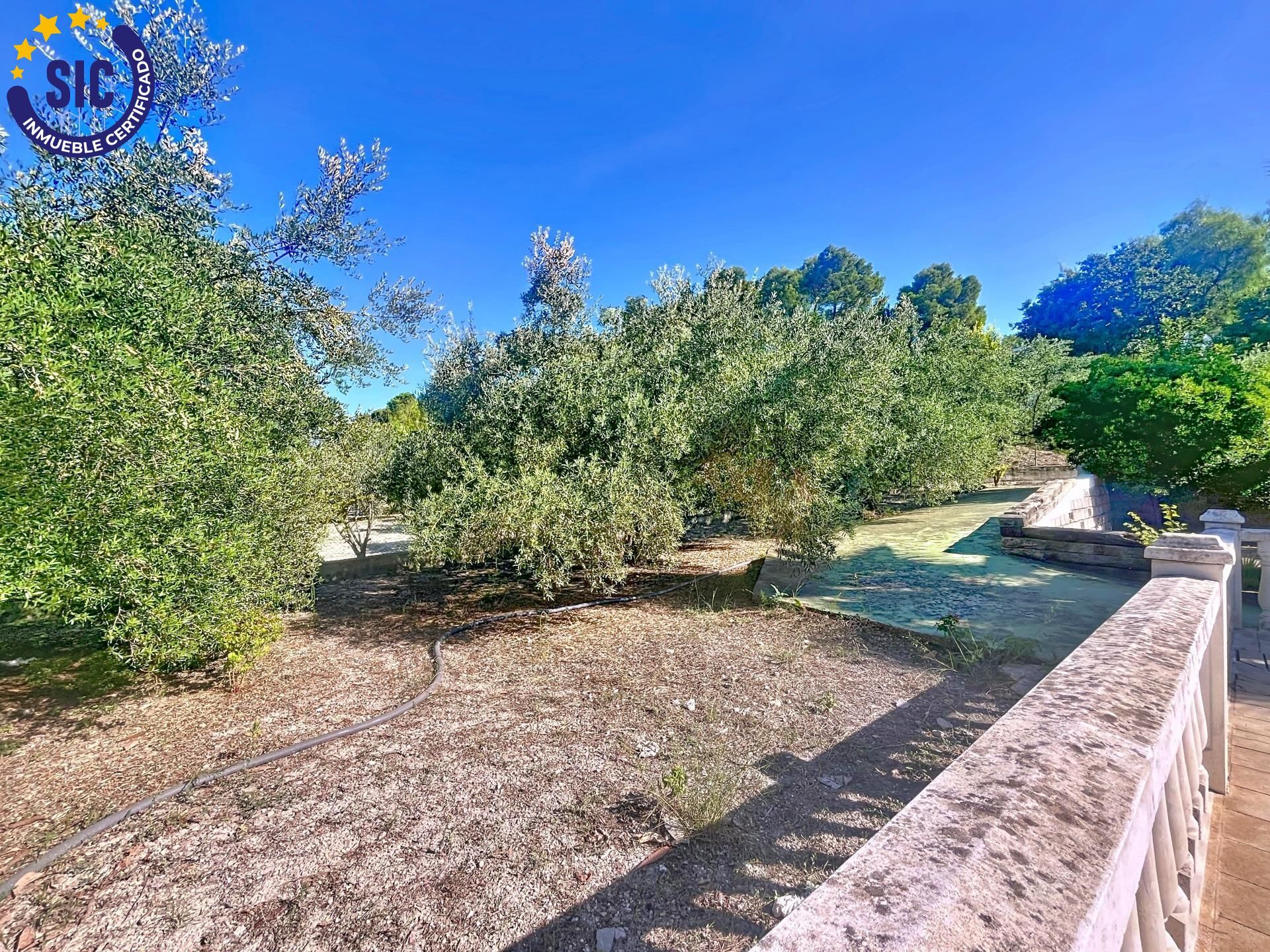 Un oasis para todos los sentidos en Xàtiva
