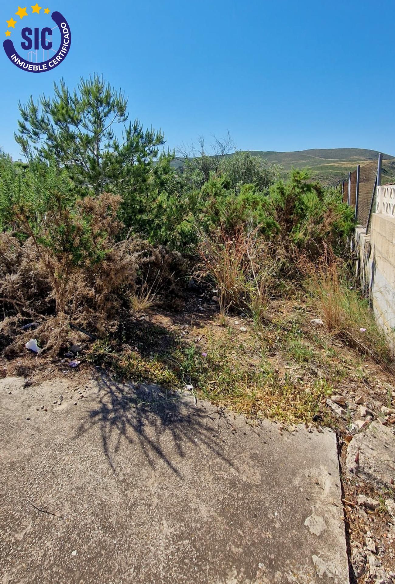 Fincas y solares-Venta-TurÃ­s-1768778-Foto-4