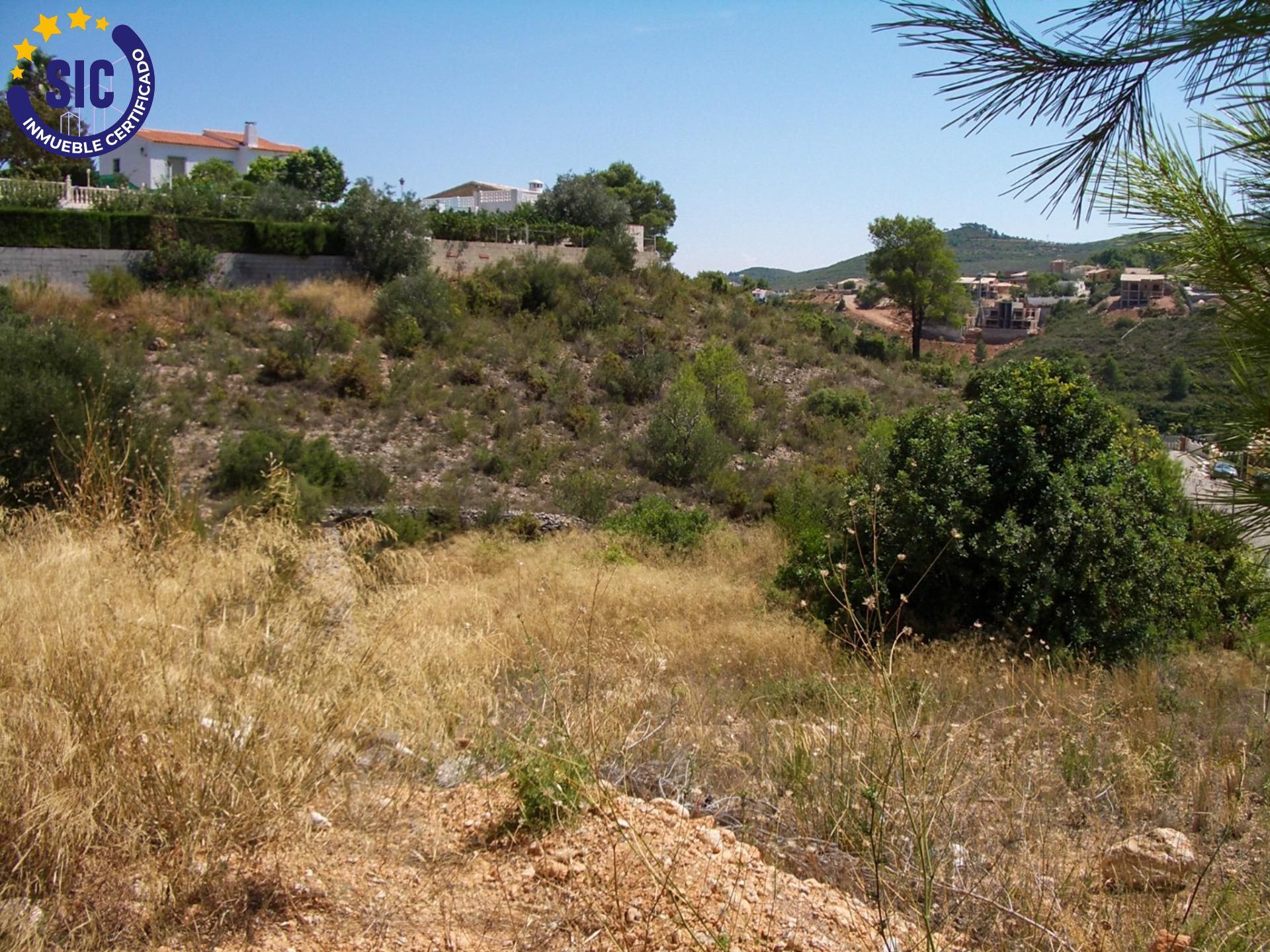 Fincas y solares-Venta-TurÃ­s-1768778-Foto-23