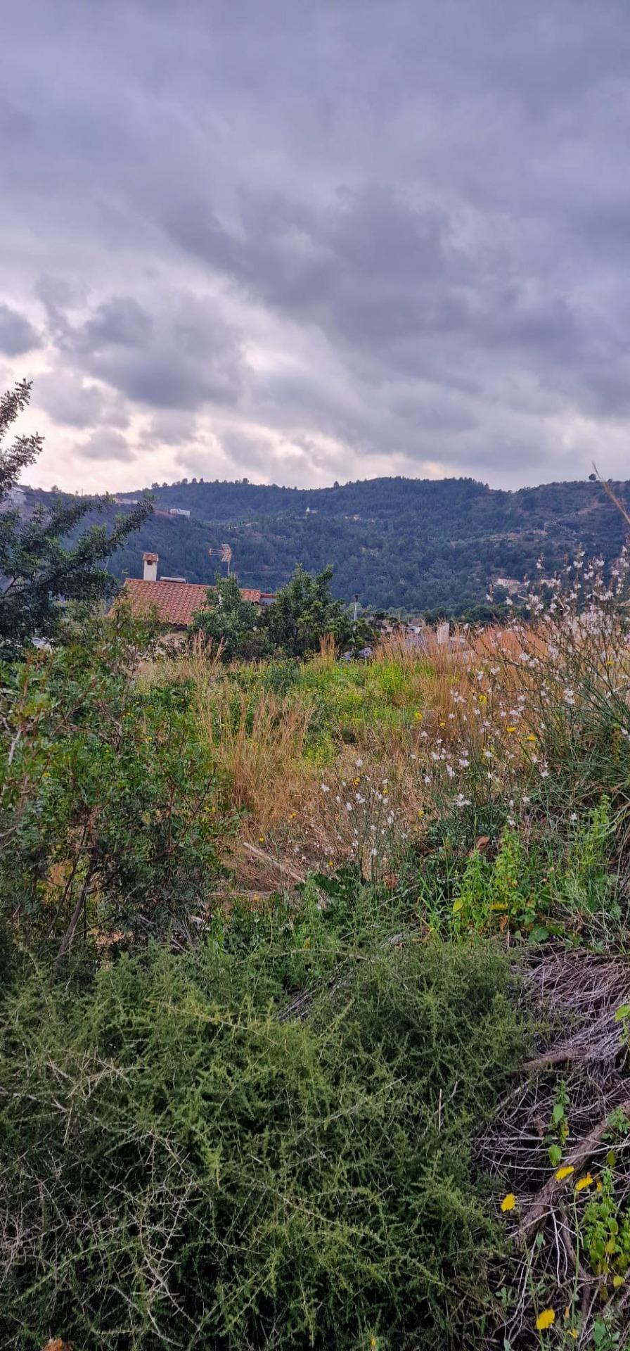 Fincas y solares-Venta-La Vall de Uixo-1653431-Foto-16