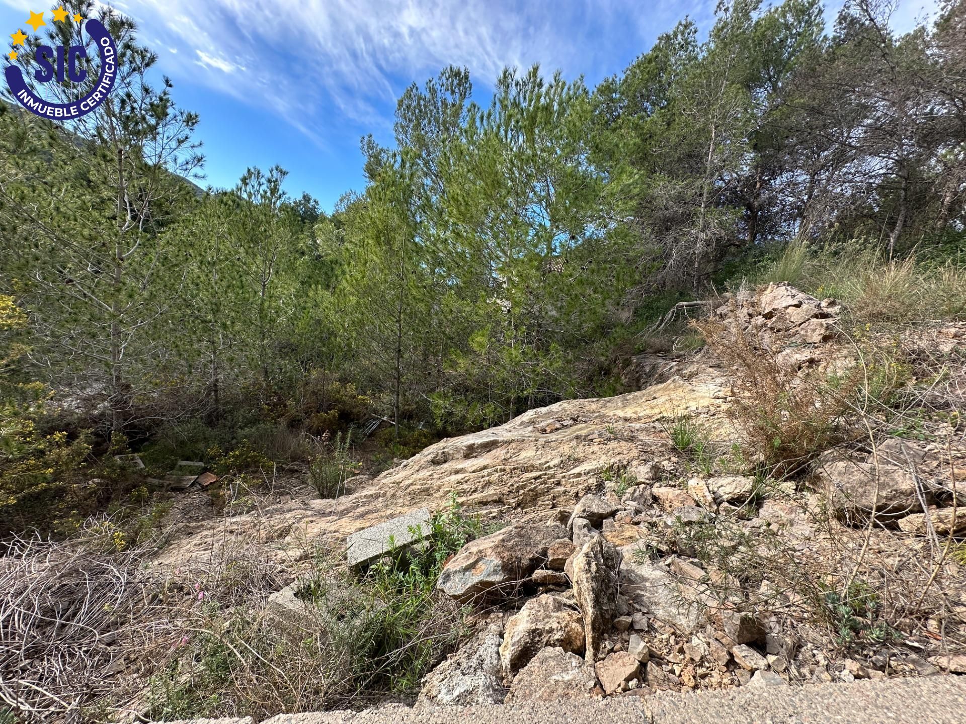 Fincas y solares-Venta-Gilet-1560339-Foto-11