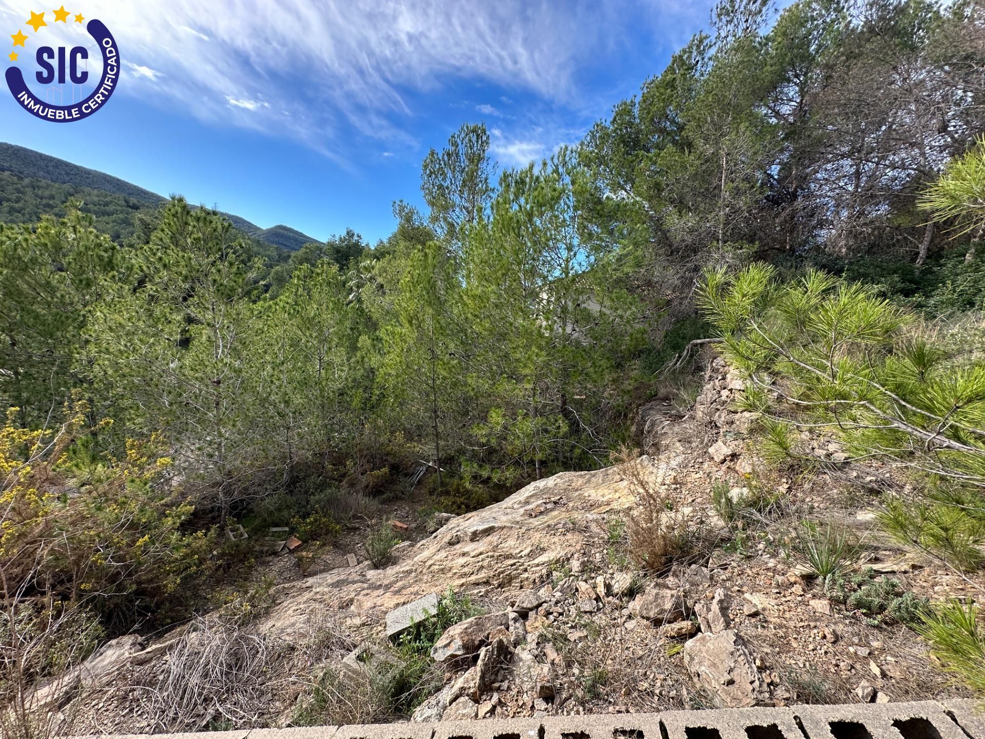 Fincas y solares-Venta-Gilet-1560339-Foto-14