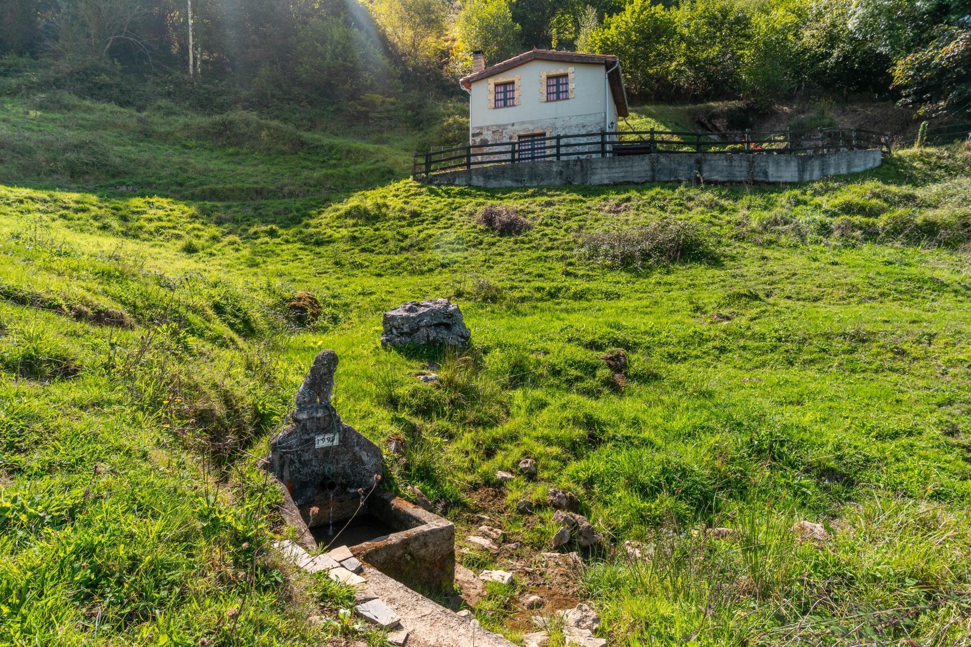 Casas o chalets-Venta-Bimenes-2032209-Foto-39