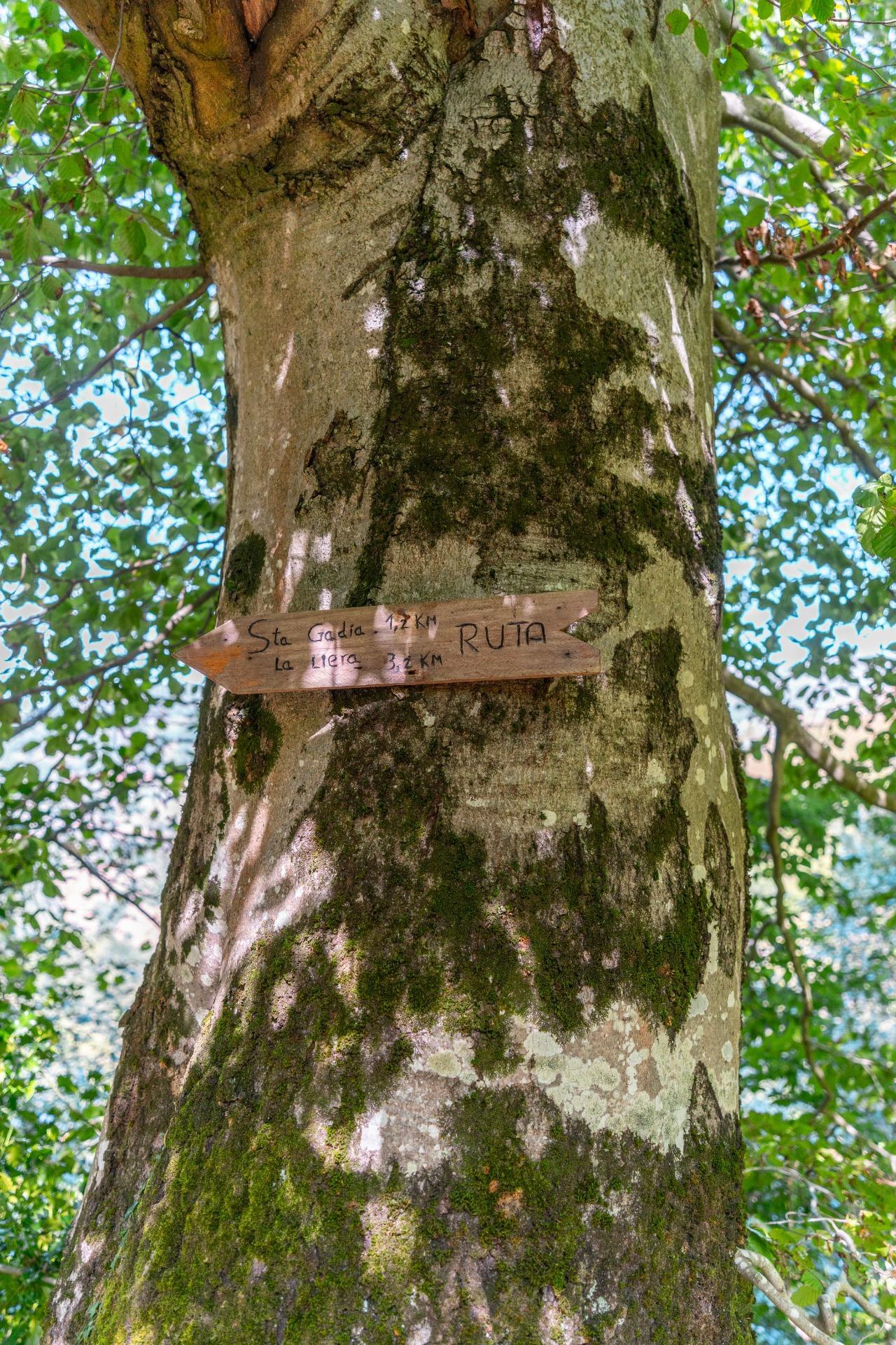 Casas o chalets-Venta-Bimenes-2032209-Foto-46