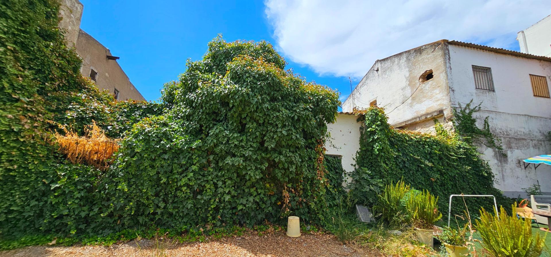 Casas o chalets-Venta-La Algaba-1975514-Foto-21