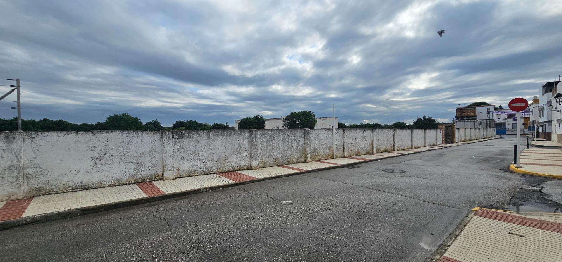 Fincas y solares-Venta-La Algaba-1976673-Foto-10