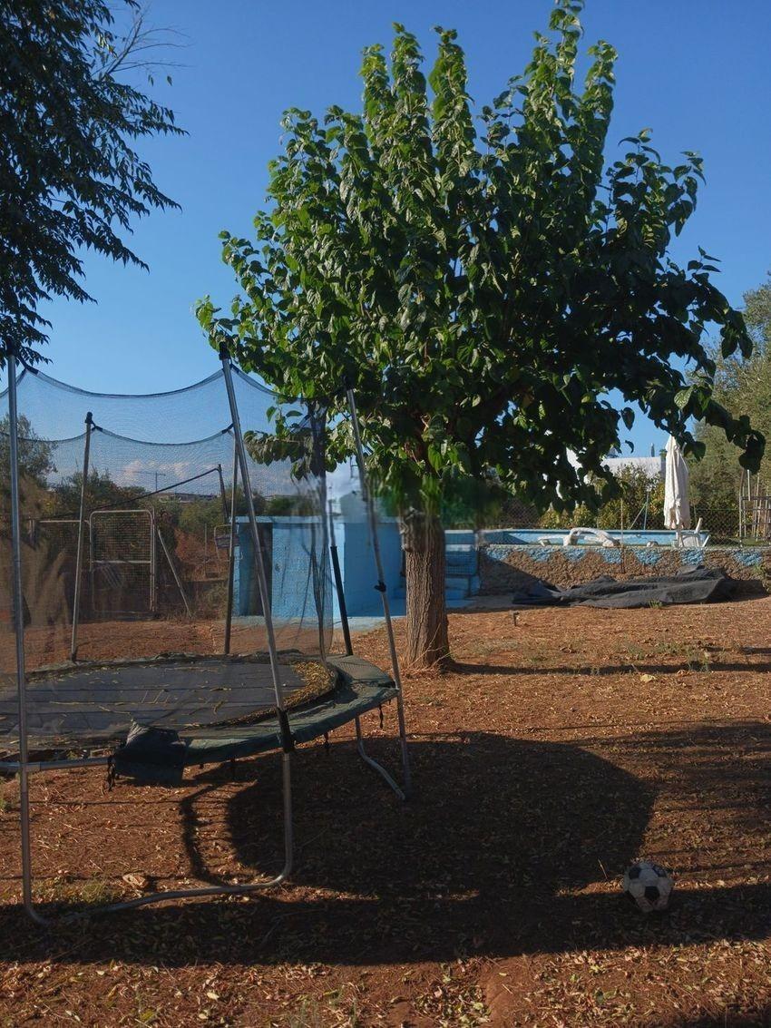 Fincas y solares-Venta-Dos Hermanas-1935619-Foto-4