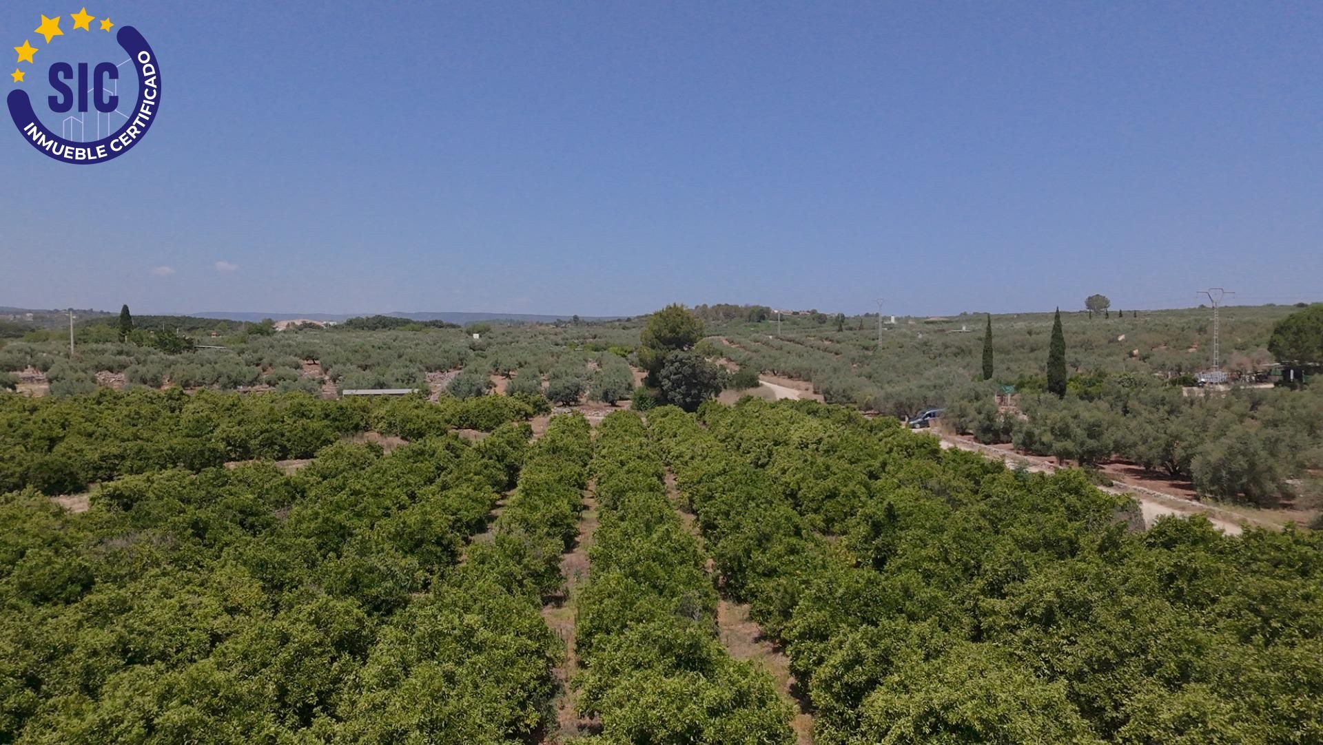 Terreno rústico en producción con vivienda auxiliar ? Enguera (Valencia)