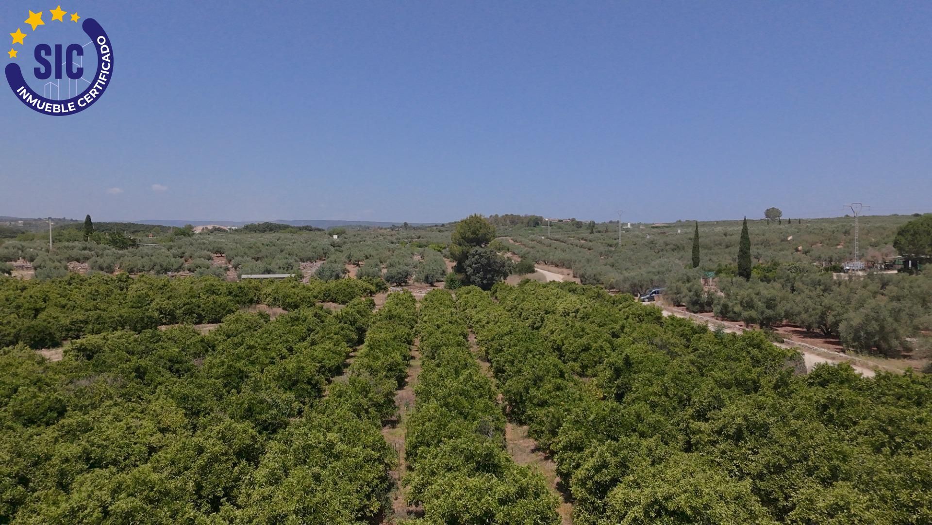 Terreno rústico en producción con vivienda auxiliar ? Enguera (Valencia)