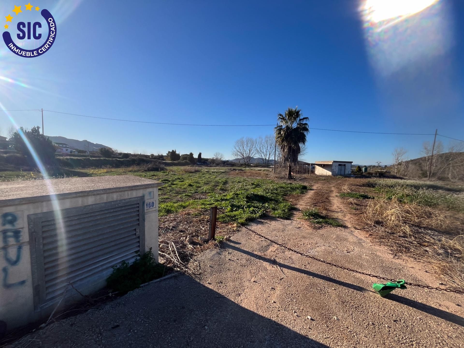 ¡OPORTUNIDAD ÚNICA! PARCELA RÚSTICA EN BARXETA (VALENCIA)