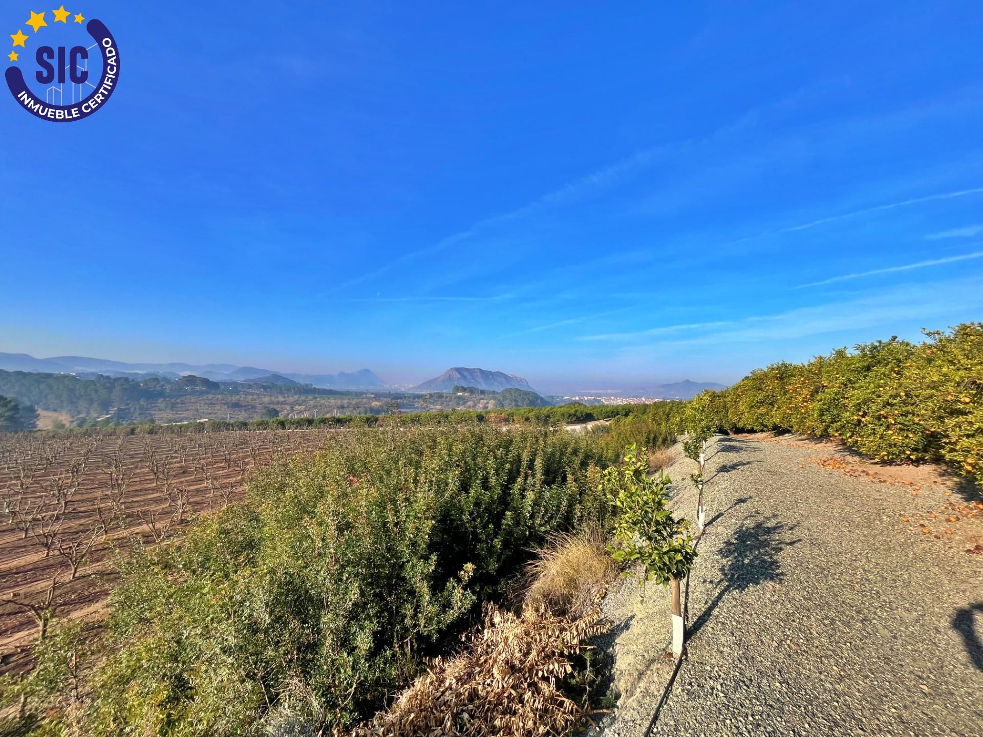 ¡Bienvenido al paraíso rural en Barxeta, Valencia! Parcela Rústica en Venta