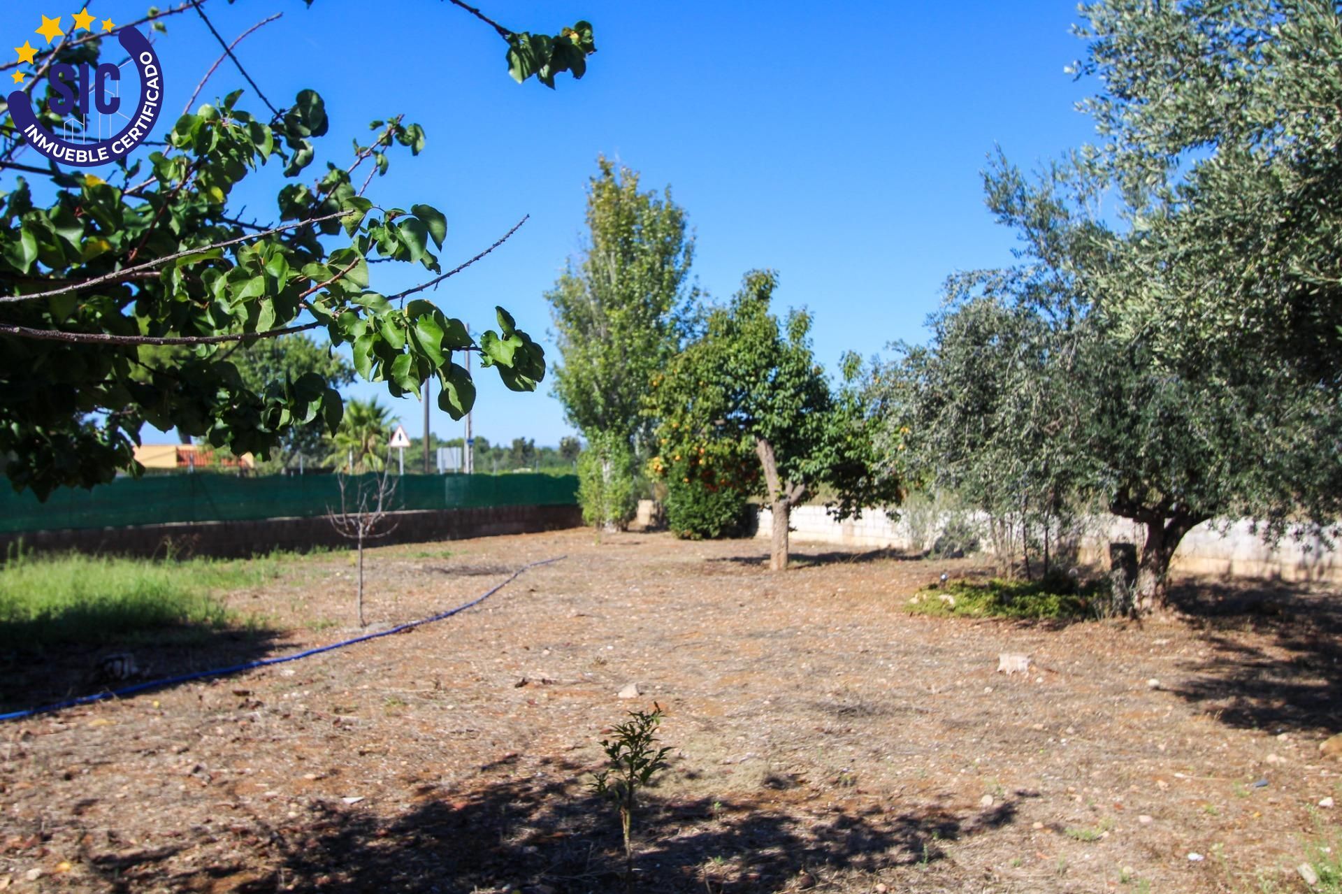 Casas o chalets-Venta-LlÃ­ria-1884847-Foto-26