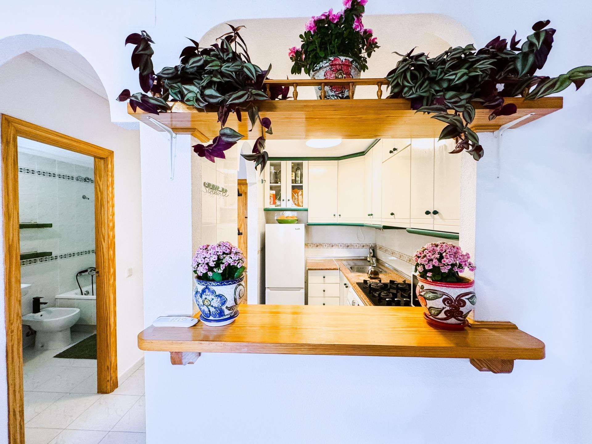 Pisos-Venta-Torrevieja-2019503-Foto-5