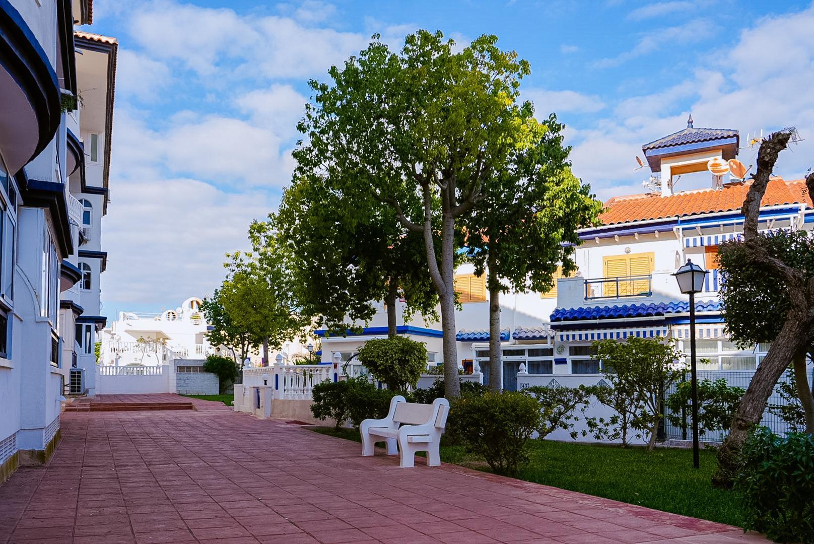 Pisos-Venta-Torrevieja-2019503-Foto-23