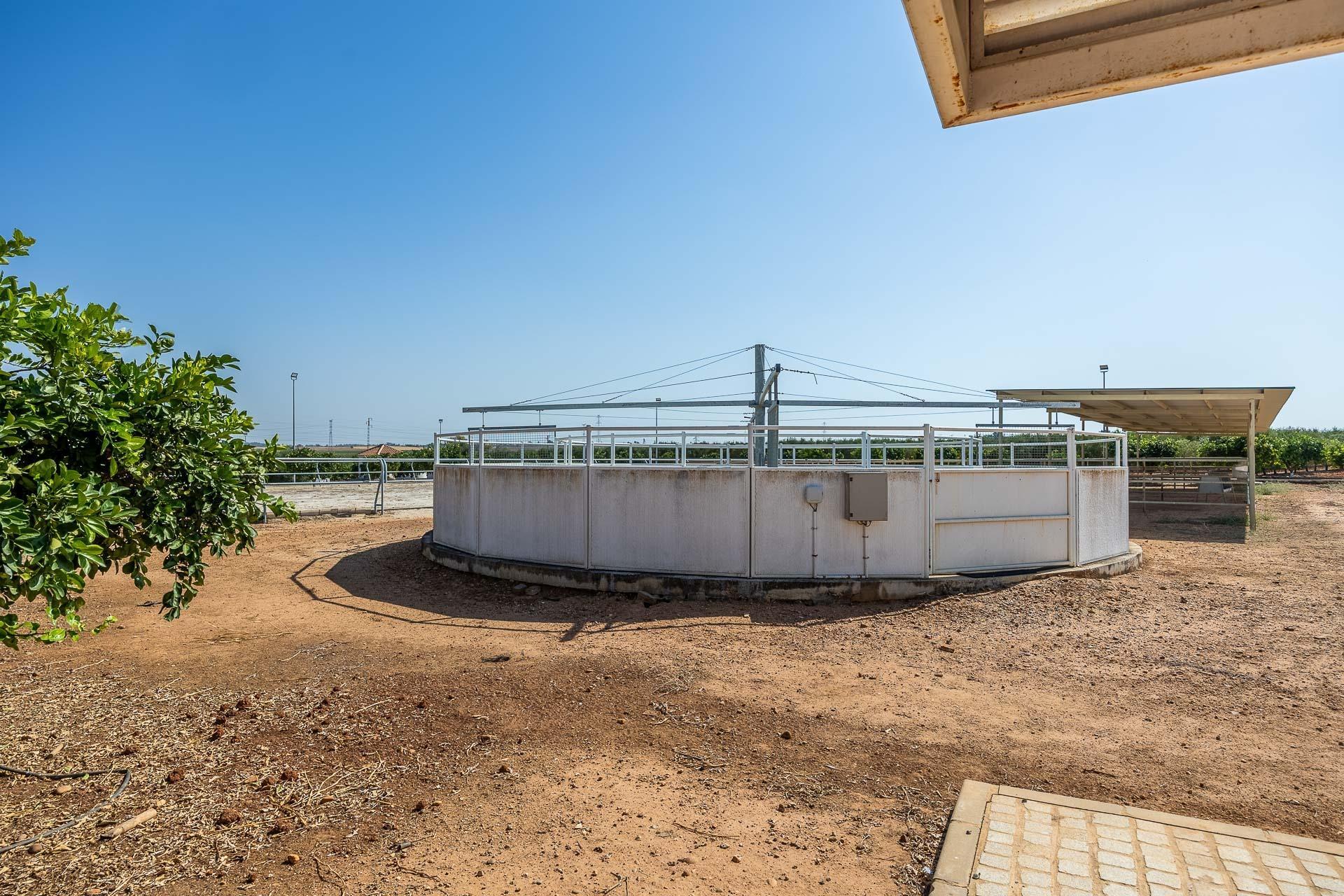 Pisos-Venta-Carmona-1976163-Foto-34