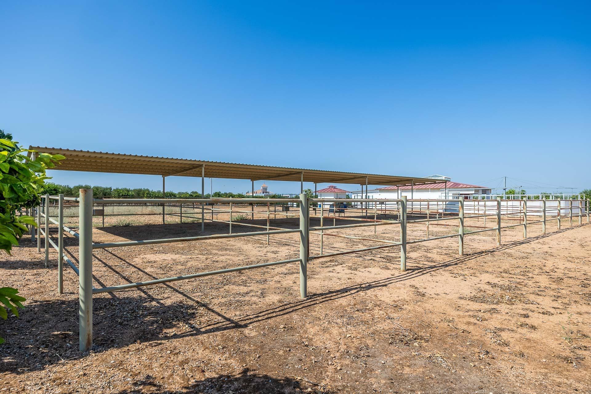 Pisos-Venta-Carmona-1976163-Foto-38