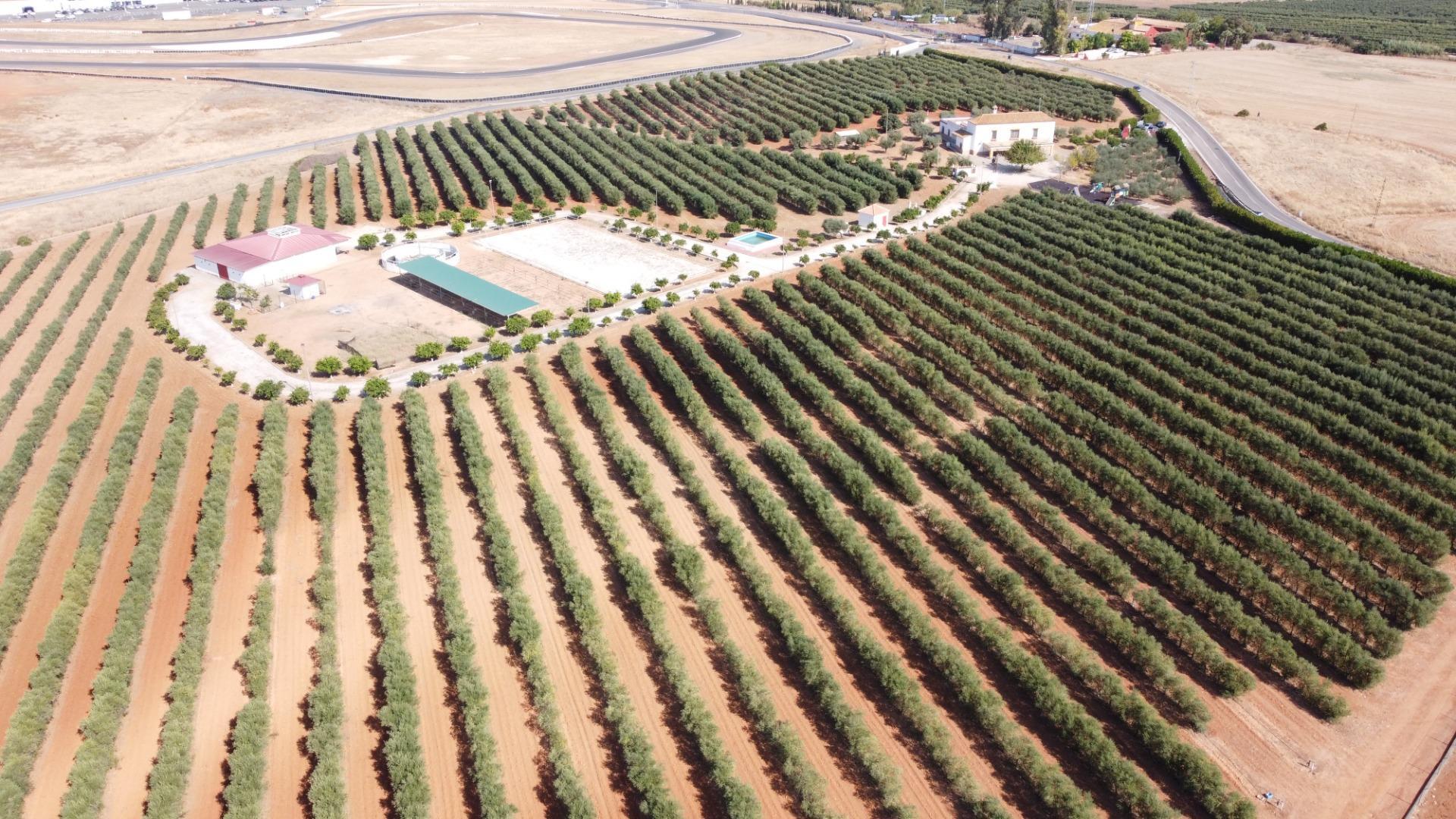 Pisos-Venta-Carmona-1976163-Foto-44