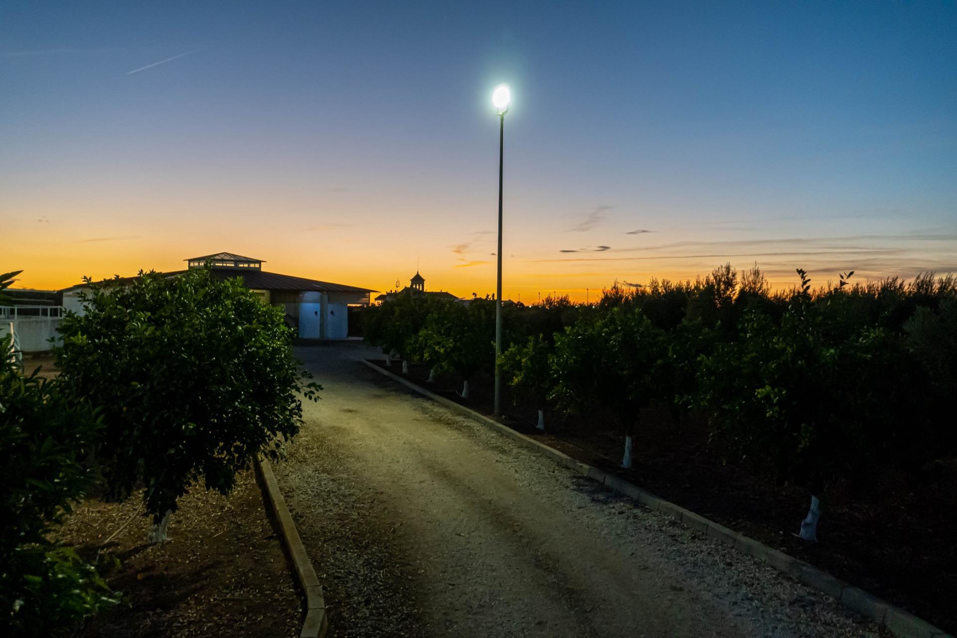 Pisos-Venta-Carmona-1976163-Foto-56