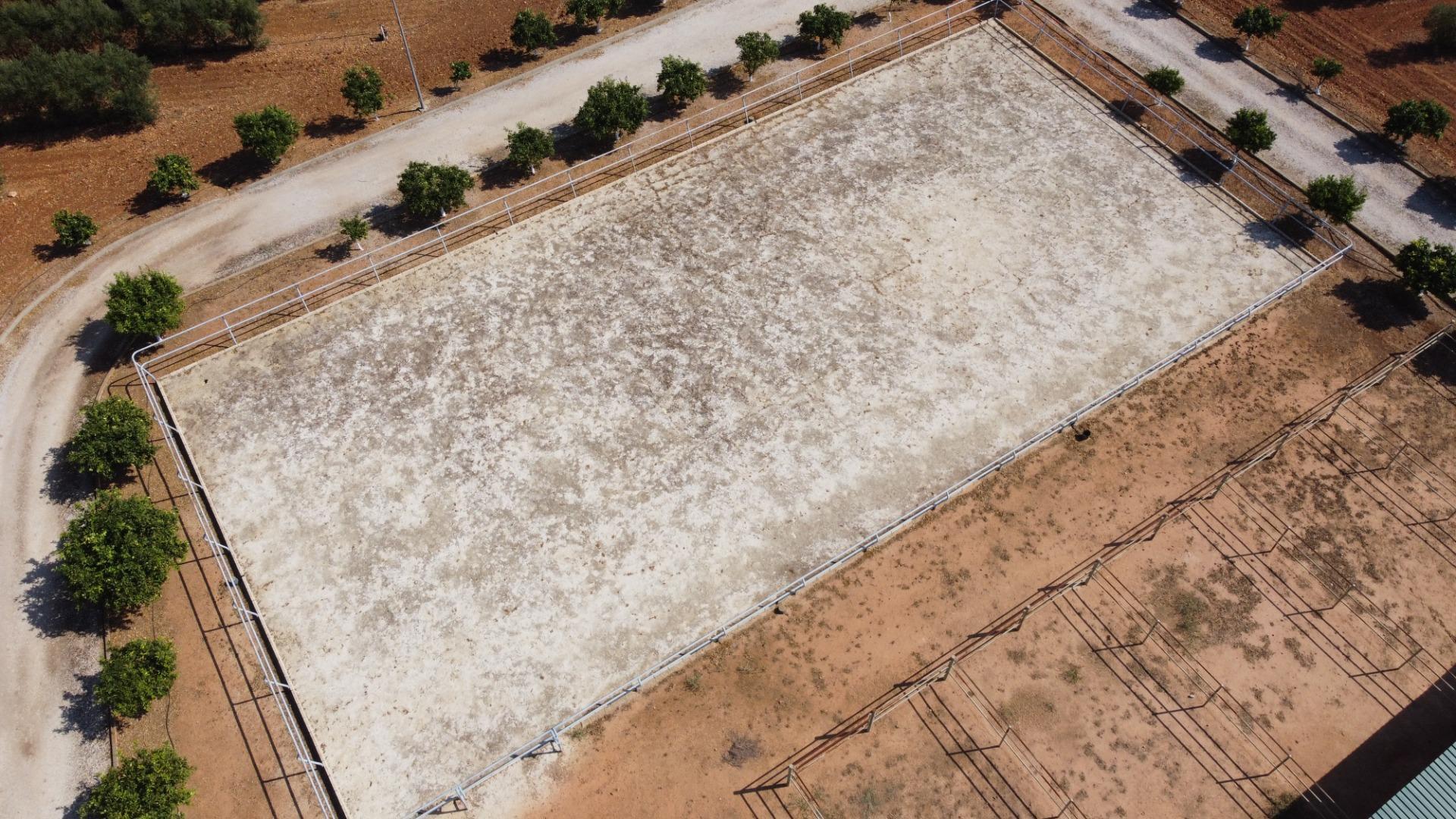 Pisos-Venta-Carmona-1976163-Foto-55