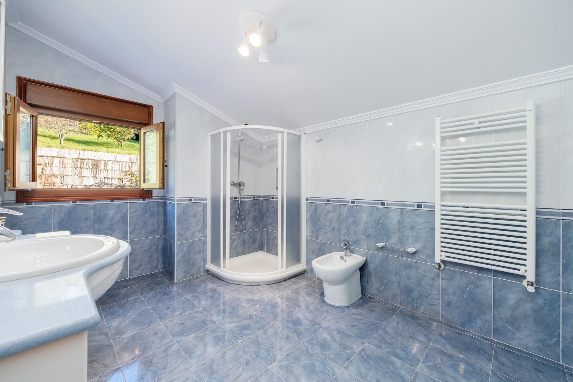 Casas o chalets-Venta-MoaÃ±a-2032392-Foto-40