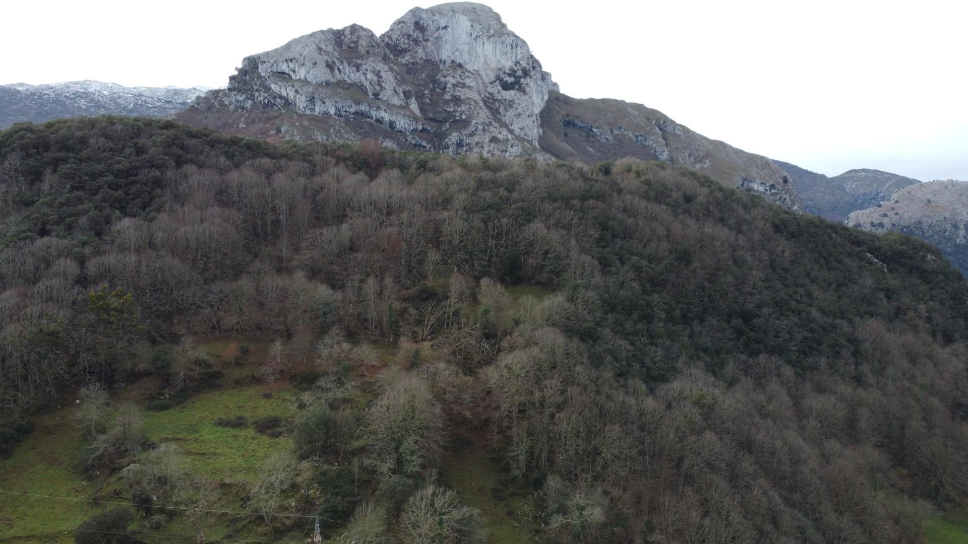 Casas o chalets-Venta-El Ballestero-2032398-Foto-82