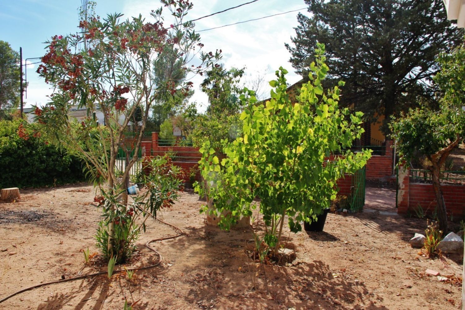 Pisos-Venta-Villafranca de los Caballeros-1021053-Foto-15