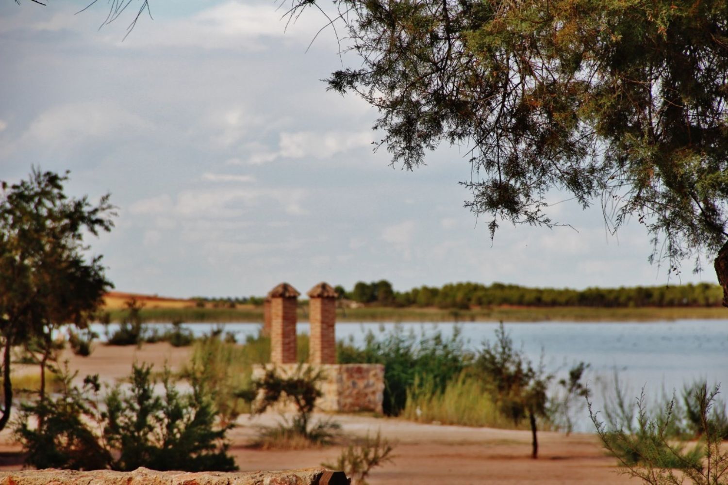 Pisos-Venta-Villafranca de los Caballeros-1021053-Foto-31