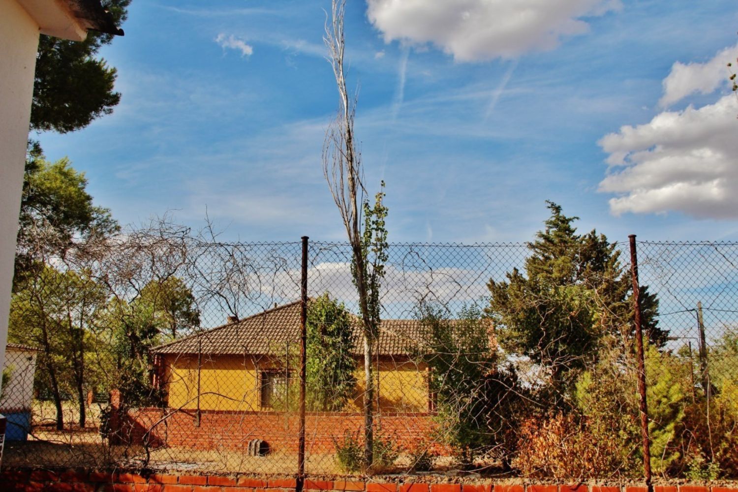 Pisos-Venta-Villafranca de los Caballeros-1021009-Foto-5