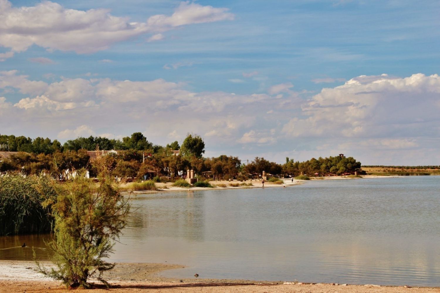 Pisos-Venta-Villafranca de los Caballeros-1021009-Foto-13