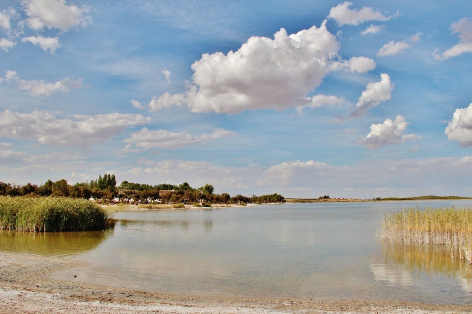 Pisos-Venta-Villafranca de los Caballeros-1021009-Foto-17