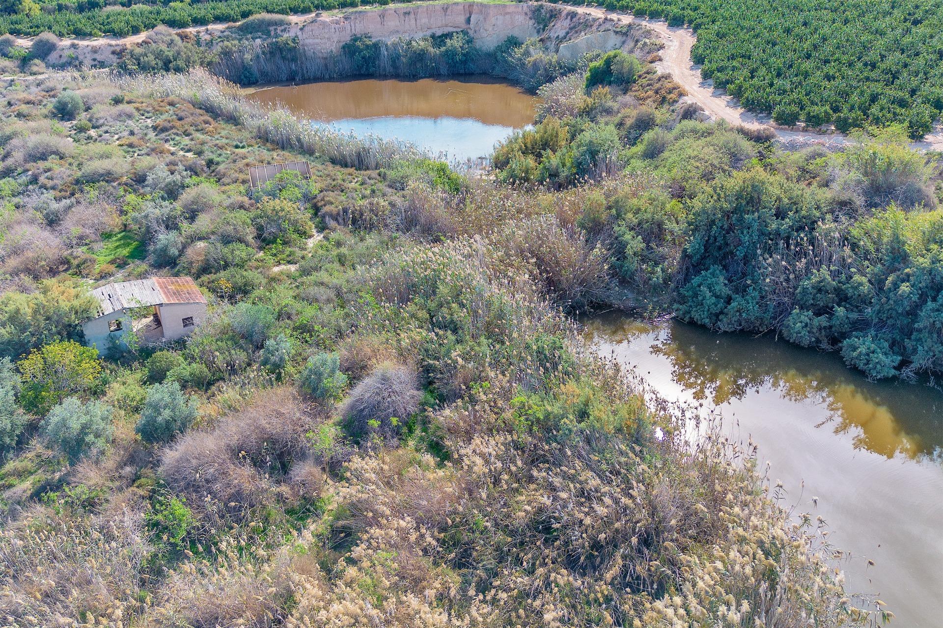 Pisos-Venta-Alicante-1972547-Foto-2