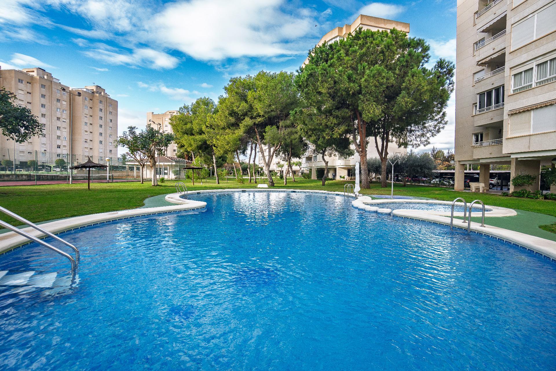 Pisos-Venta-Alicante-2032546-Foto-40