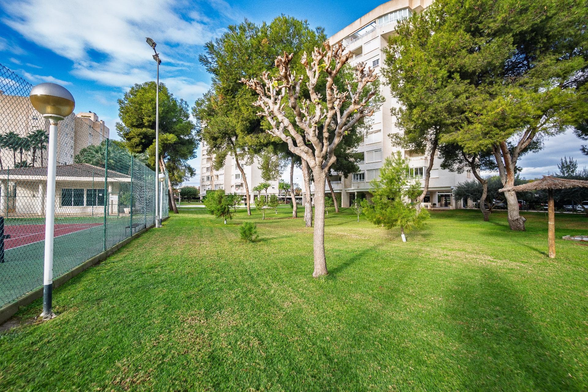 Pisos-Venta-Alicante-2032546-Foto-48