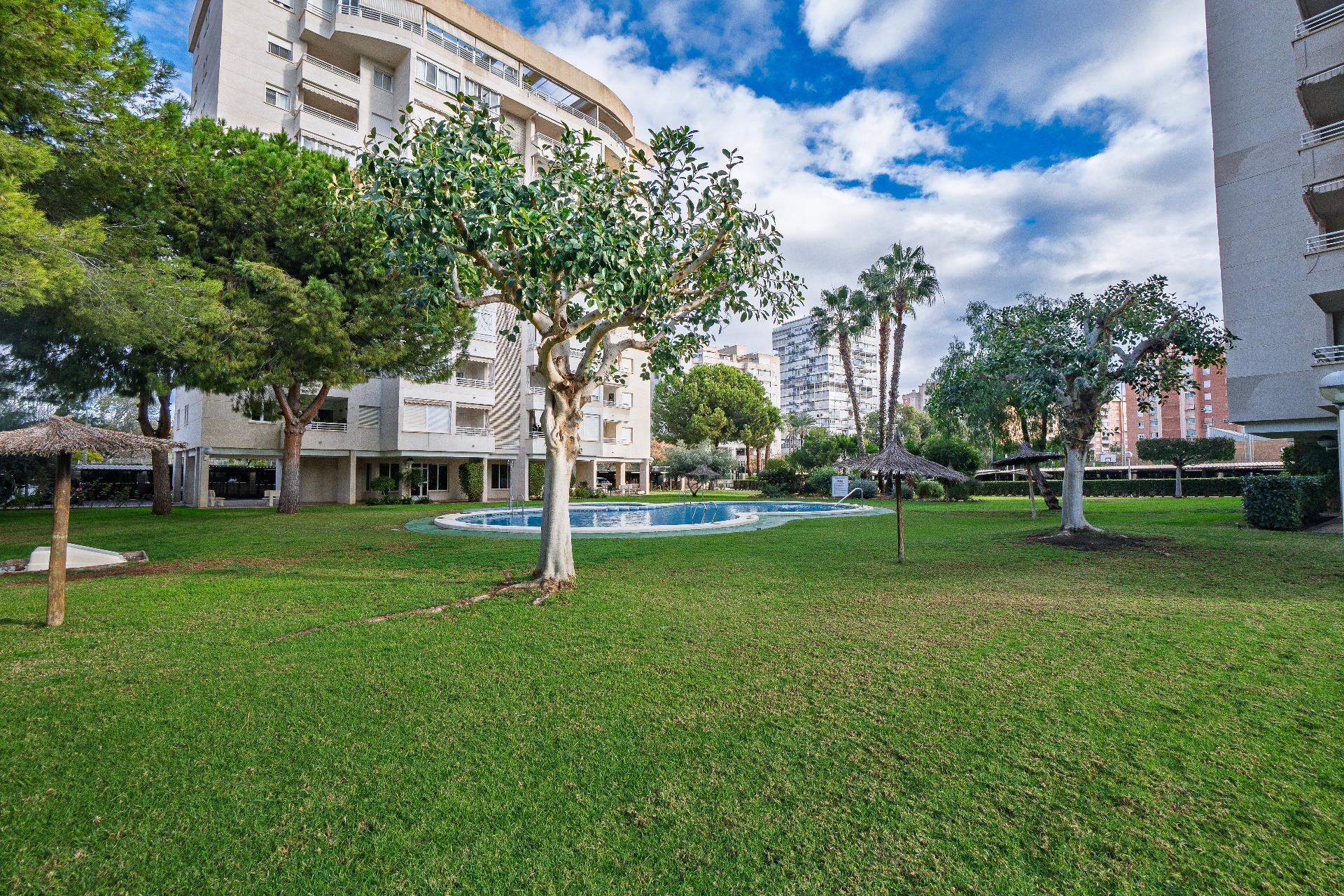 Pisos-Venta-Alicante-2032546-Foto-49