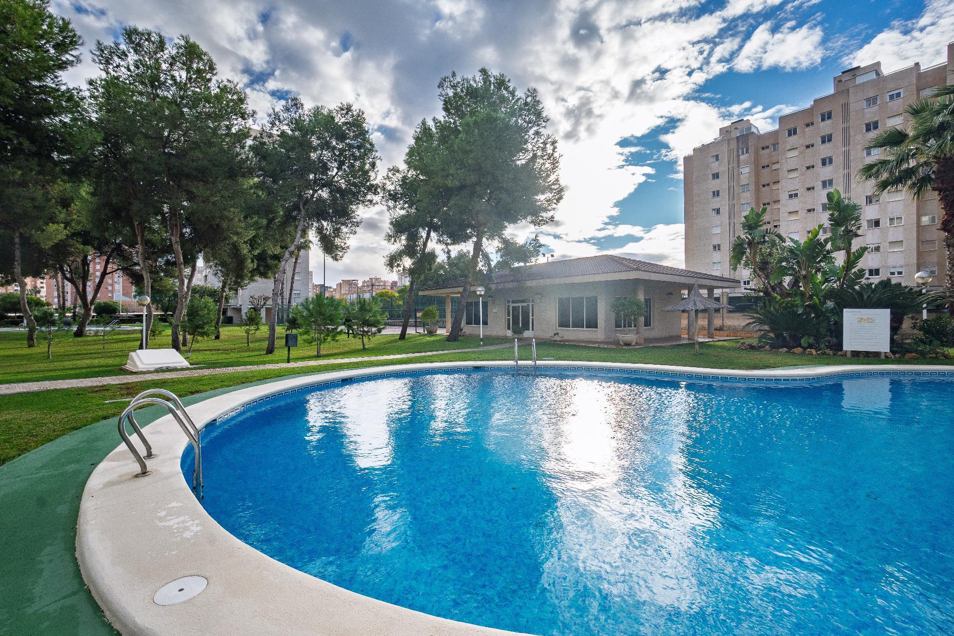 Pisos-Venta-Alicante-2032546-Foto-47