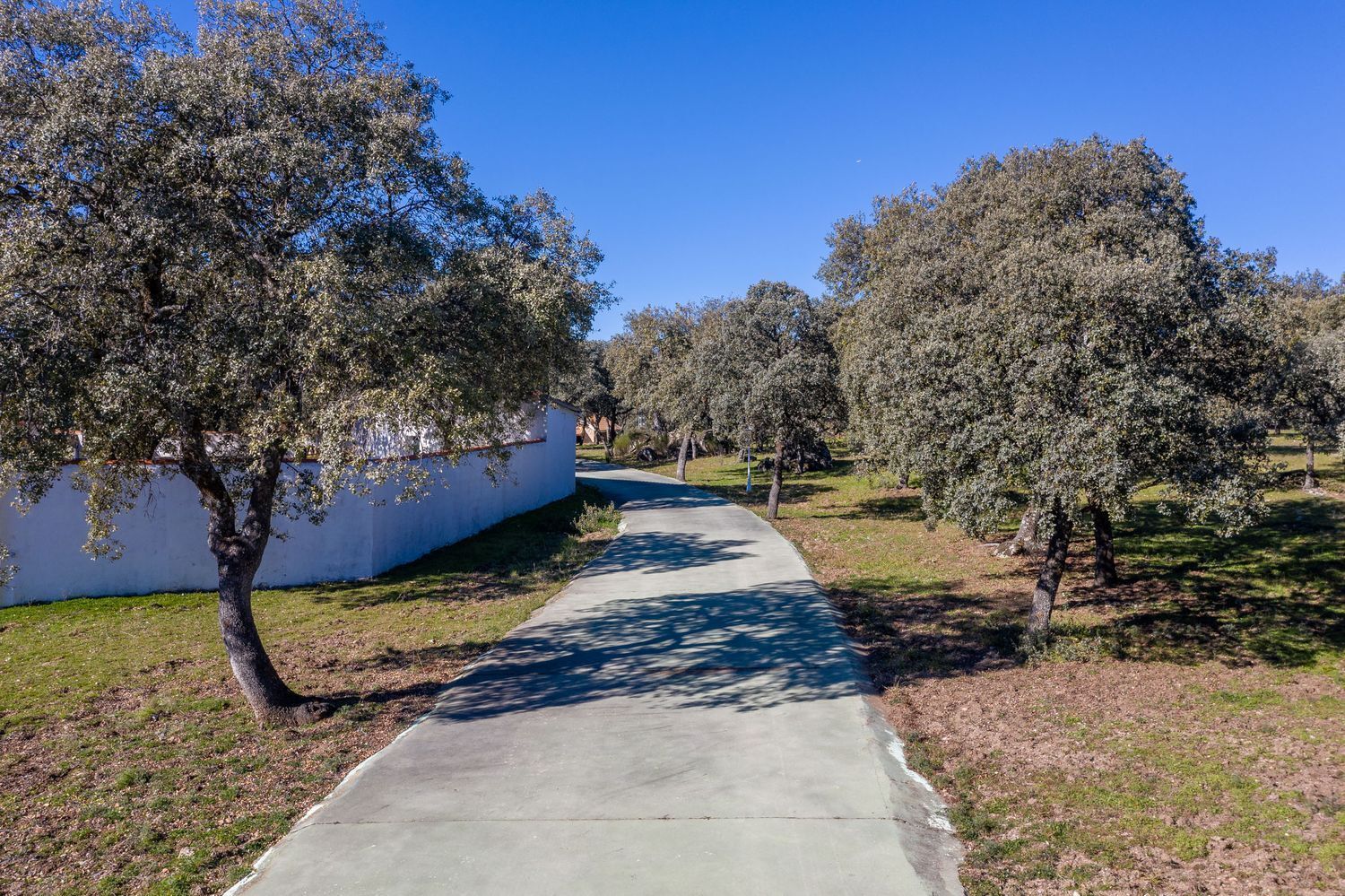 Pisos-Venta-Colmenarejo-1021060-Foto-8