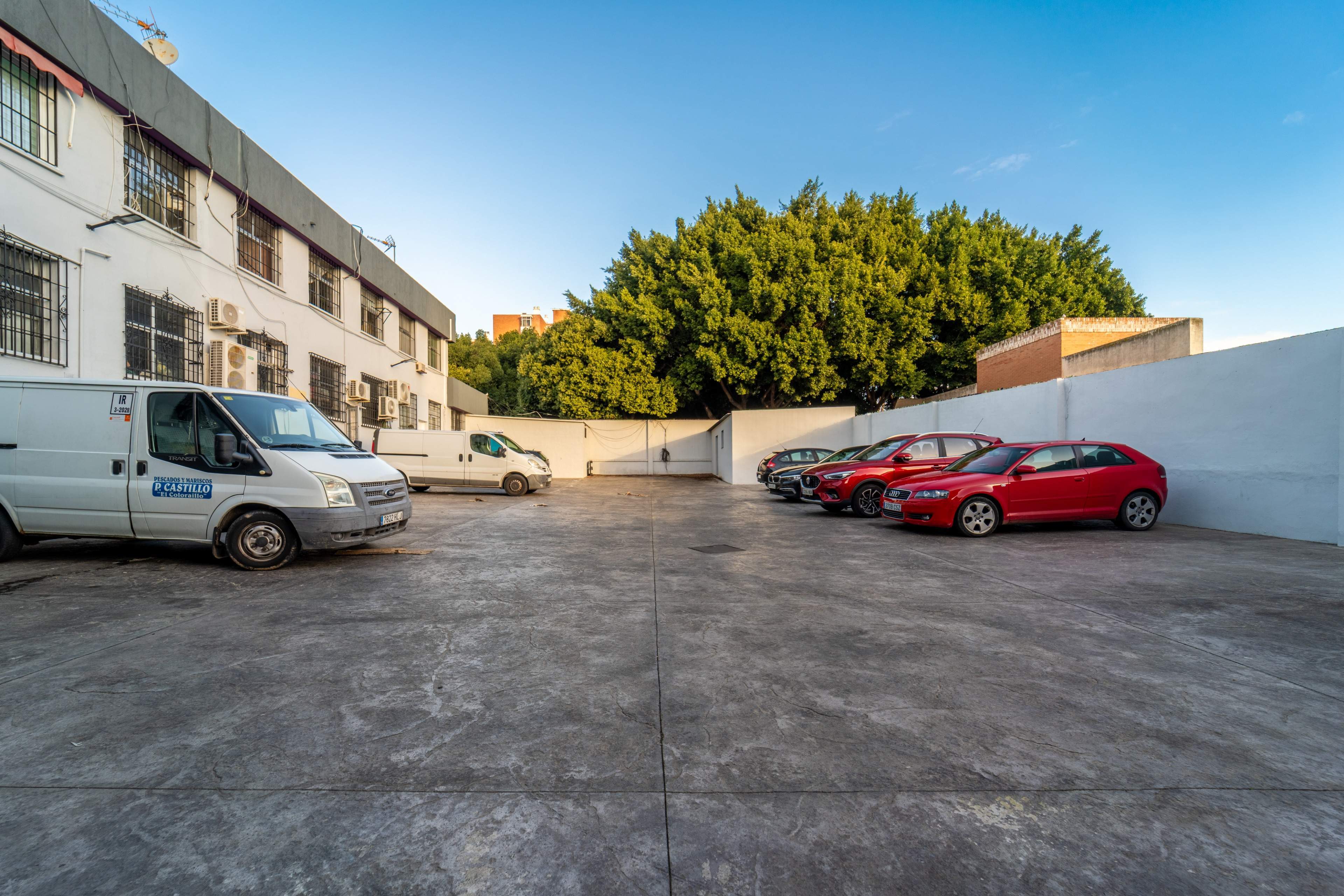 Negocios-Venta-VÃ©lez-MÃ¡laga-2032555-Foto-23