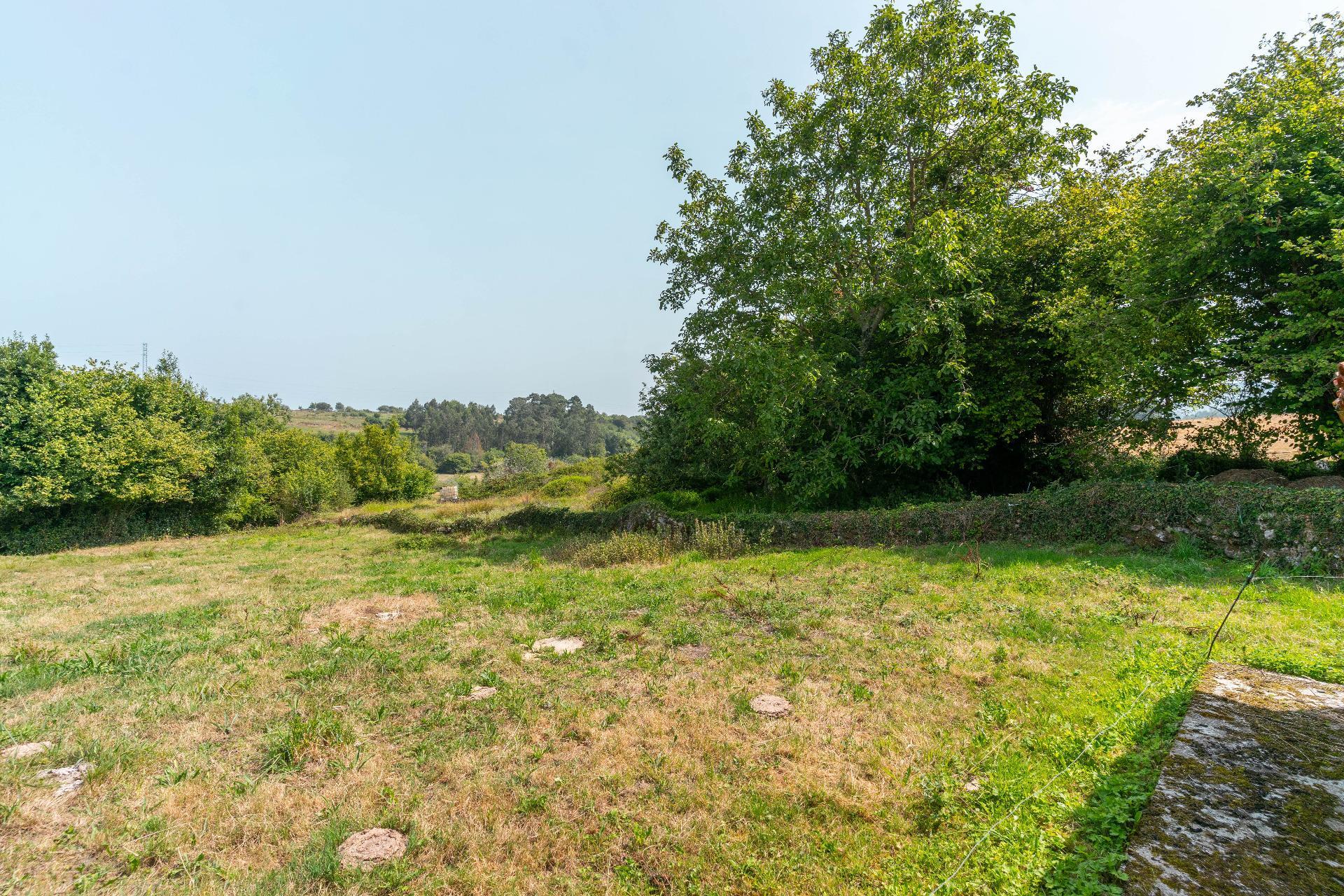 Fincas y solares-Venta-Colunga-1886260-Foto-5