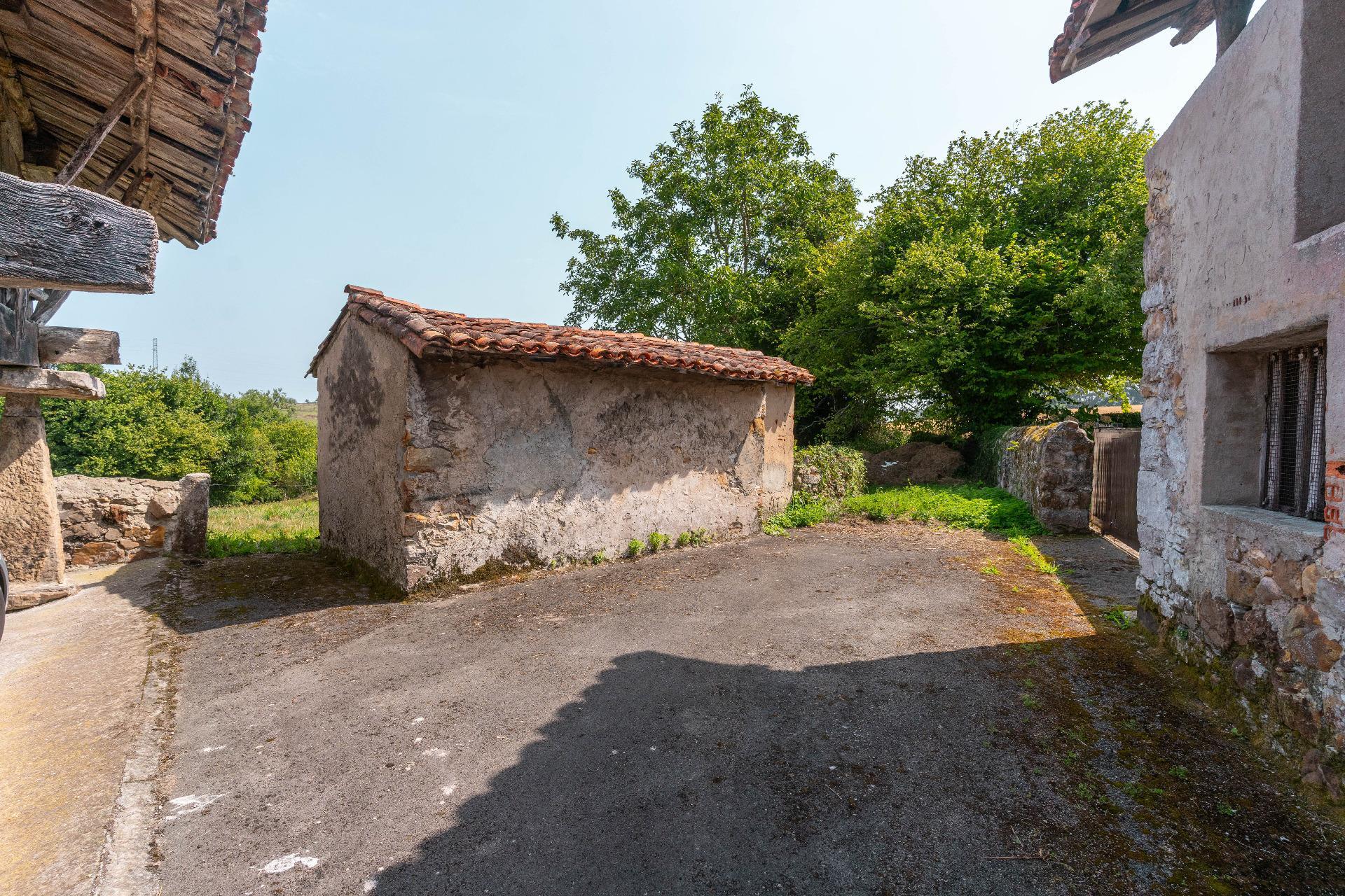 Fincas y solares-Venta-Colunga-1886260-Foto-6