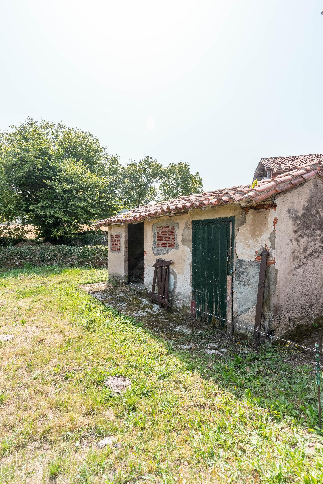 Fincas y solares-Venta-Colunga-1886260-Foto-8