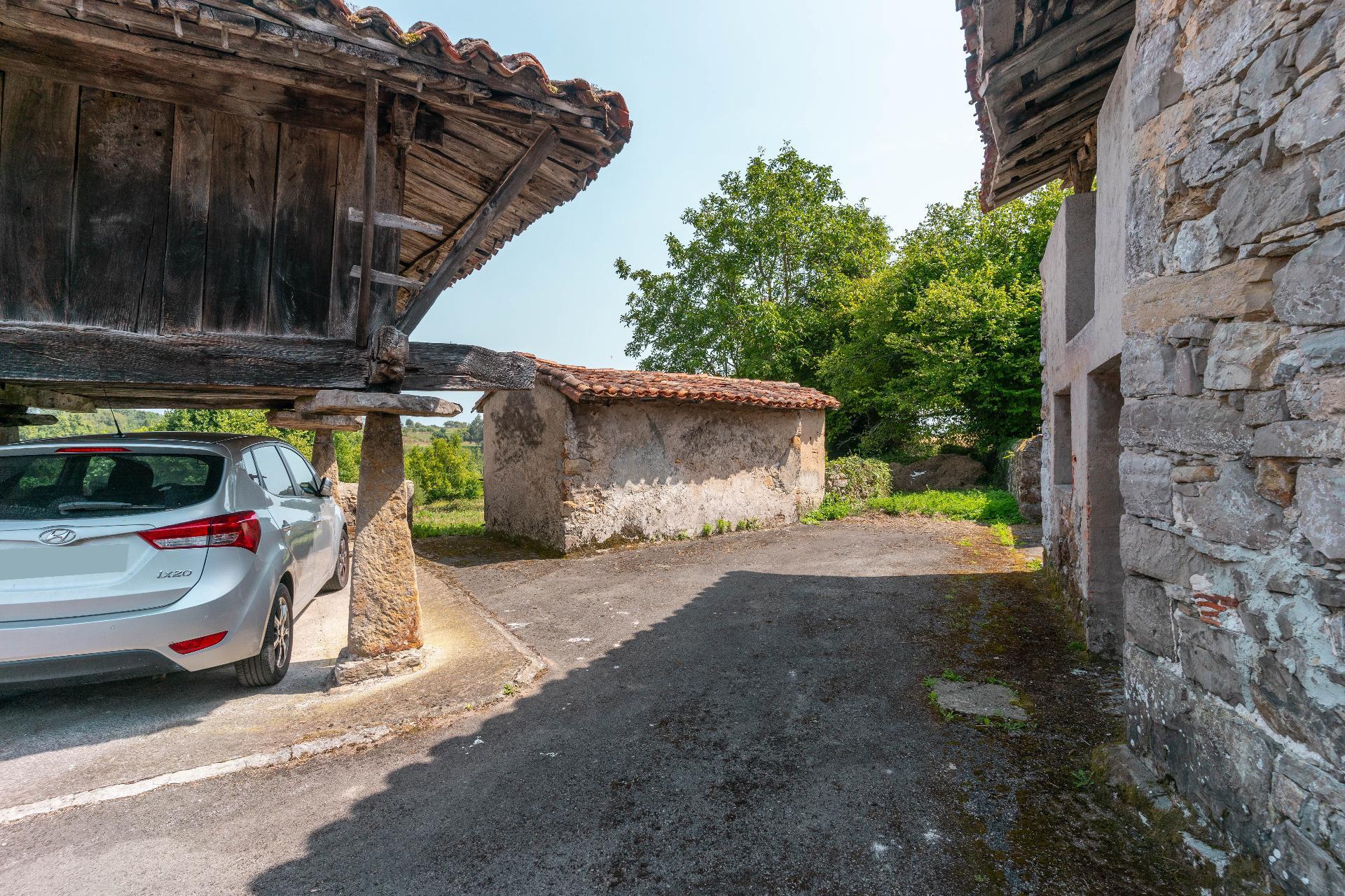 Fincas y solares-Venta-Colunga-1886260-Foto-10